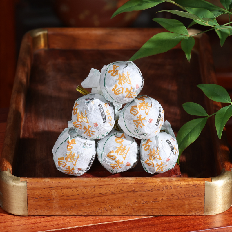 020古树白茶1（8克 (6).jpg