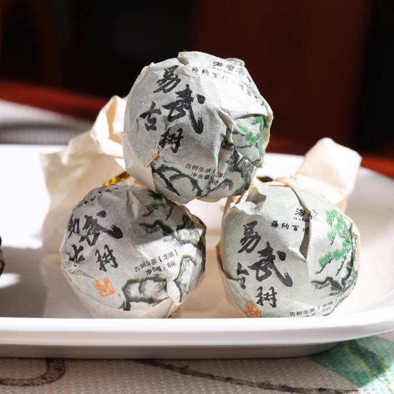 17易武古树 (4).jpg