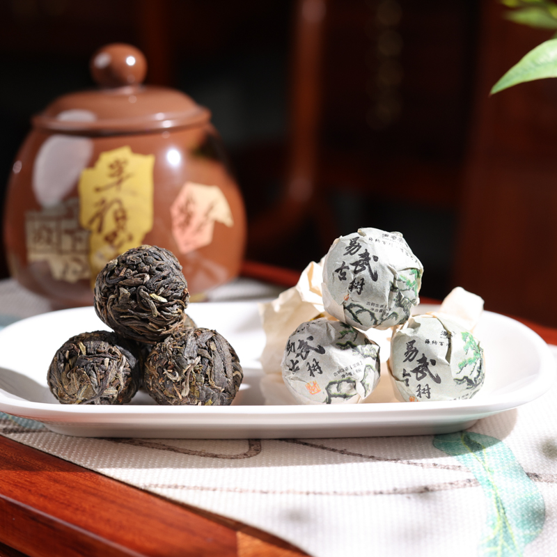 17易武古树 (11).jpg