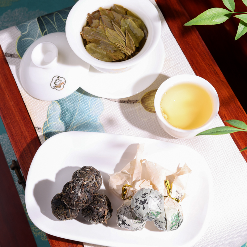 17易武古树 (159).jpg