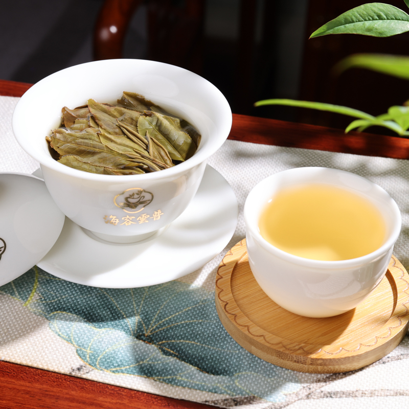 17易武古树 (166).jpg