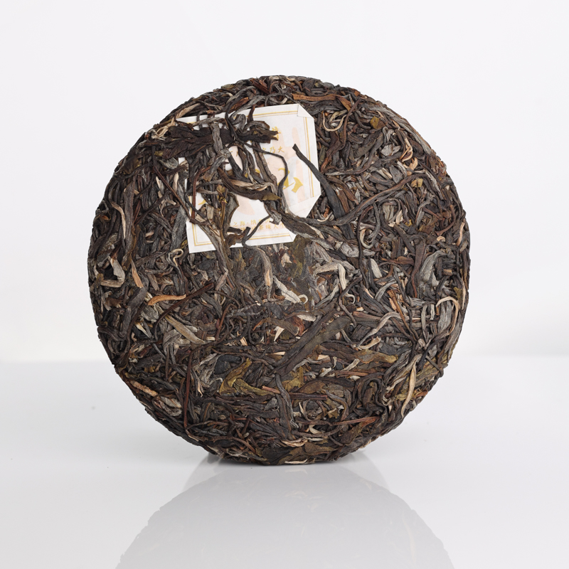 008天门山古树200 (8)(1).jpg