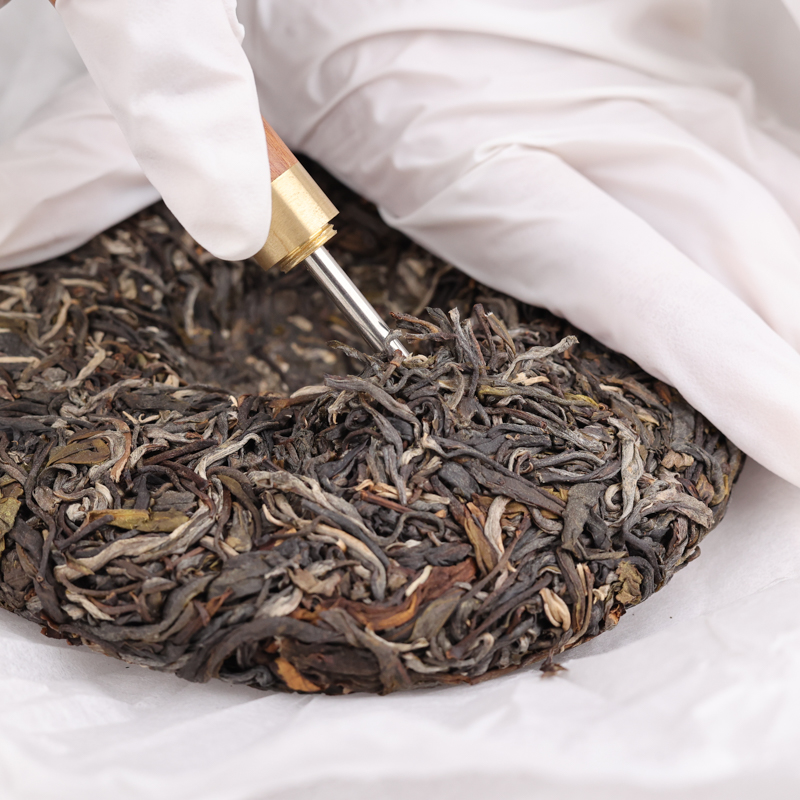 008天门山古树200 (15).jpg