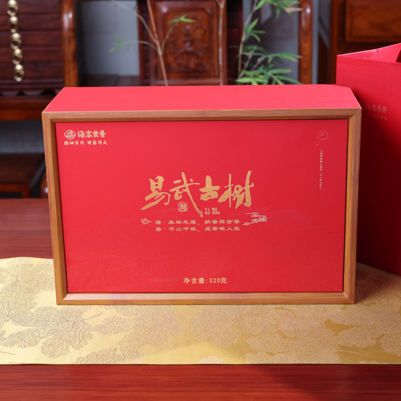 易武古树 (5).jpg