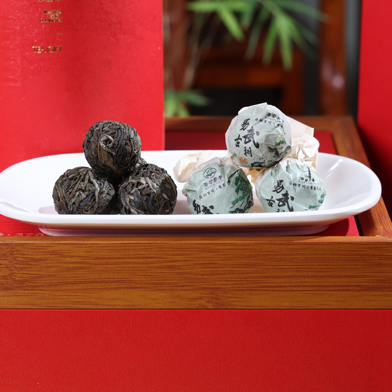 易武古树 (15).jpg