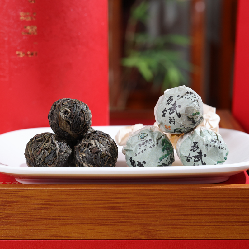 易武古树 (28).jpg